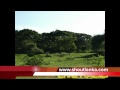 Live Sri Lankan Music - Listen 24/7 Online