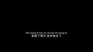 Tong Hua 童话 (Cover with English and Pinyin)