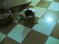 aliaune biboy breakdance feat.low