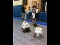 JPO and Ita's Capoeira Graduation on (2009/10/24) by TCalYen (Video 1)