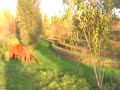Parc naturel Ubain de nanterre