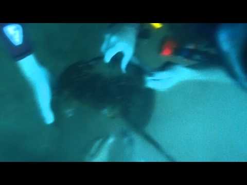 See video