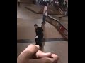Real vs. Anti-hero vs. Cody McEntire Real vs. Anti-hero vs. Cody McEntire