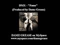 DMX - Fame