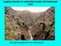 Forest Hydrology and Watersheds