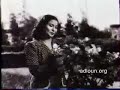 الورد جميل.