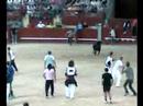 segundos encierros leganes fiestas 2007 agosto 17