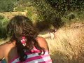 cerro-7
