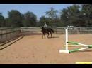 Fizzicus Off the Track: Training Oct. 2007 Fizzicus Off the Track: Training Oct. 2007