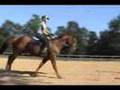 Fizzicus Off the Track: Training Oct. 2007