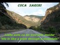 Coca Saroni