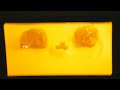 Microwave Insanity - Microwave Insanity - Brillo Pads (Microwave Insanity Series)