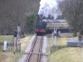 49395 at leigh woods