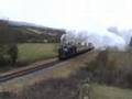 49395 at leigh woods