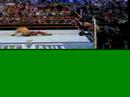 WrestleMania XXIV Highlights (Custom)