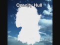 image based 3d photography using opacity hulls
