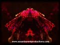 Madonna new music vidoe & Essan Laurent Australia & USA