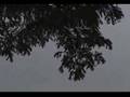 Julian Bream, live audio recording 1968-Part 1,Lute