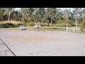 Ralphy and I - Dressage Competation