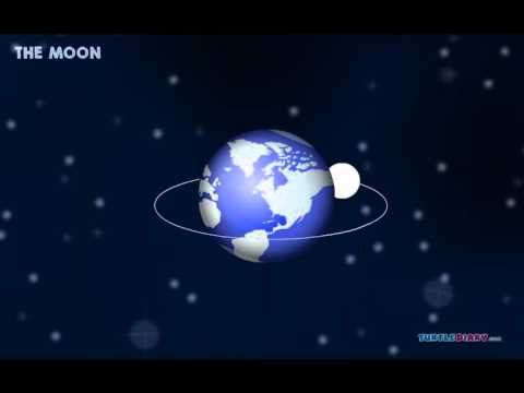 7 Moon Phases Explained! How does the Moon Change? *Science for Kids!*