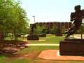 Ridiculous Football Fanaticism at the University of Oklahoma