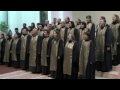 TICINUM GOSPEL CHOIR PAVIA  LIVE COMPILATION