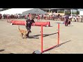 T�rrega jumping standar part1