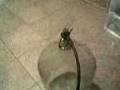 How to NOT remove a cork from a carboy