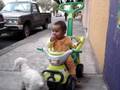 videos de Iker Tapia Navidad 2007 - Video 4