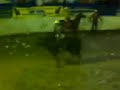 HACIENDA ACAYAPAN GRAN MONTA DEL TORNEO RANCHO DE AGUAS 2007