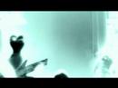 Penguin Music Video