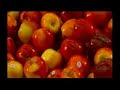 AMSOIL 1st in Synthetic Motor Oil part 3 AMSOIL 1st in Synthetic Motor Oil part 3