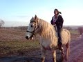 MOV09315 MOV09315