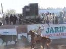 jaripeo pinos suares