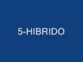 EL PIEZAS - 5 HIBRIDO