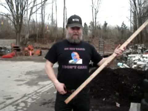 how to transplant red maple tree