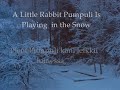 my rabbit pumpuli loves snow, as you soon can see...! :d