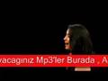 �zge-berk (evlerinin �n� boyal� direk)