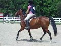 SPHO Show Jumping
