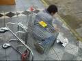videos de Emprego para o Idoso parte 2 de 2.wmv