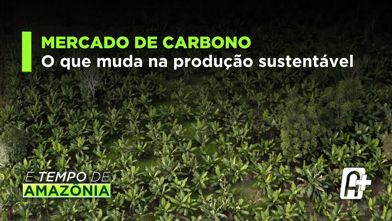 Mercado de carbono: o que muda na produção sustentável