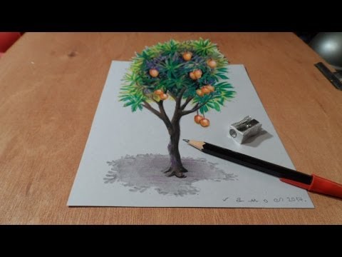 How I Draw a 3D Mango Tree, Trick Art, Time Lapse