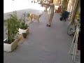 Bir Kedi Miyavv Dedi:)) Büyük Köpek C?yaklad?:))) Bir Kedi Miyavv Dedi:)) Büyük Köpek C?yaklad?:)))