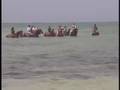Island Adventures #3 Horseback Riding Better Quality
