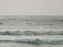 videos Surf