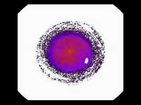 Relaxation of point vortex model to ...