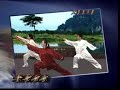 Tai Chi Kung Fu Fan