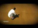 EA Skate backflips