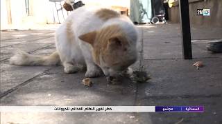 خطر تغيير النضام الغدائي للحيوانات...التفاصيل في الربورتاج