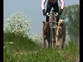 igor_tracz trening